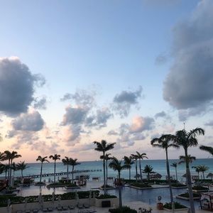 Meet your Posher, Lizzie